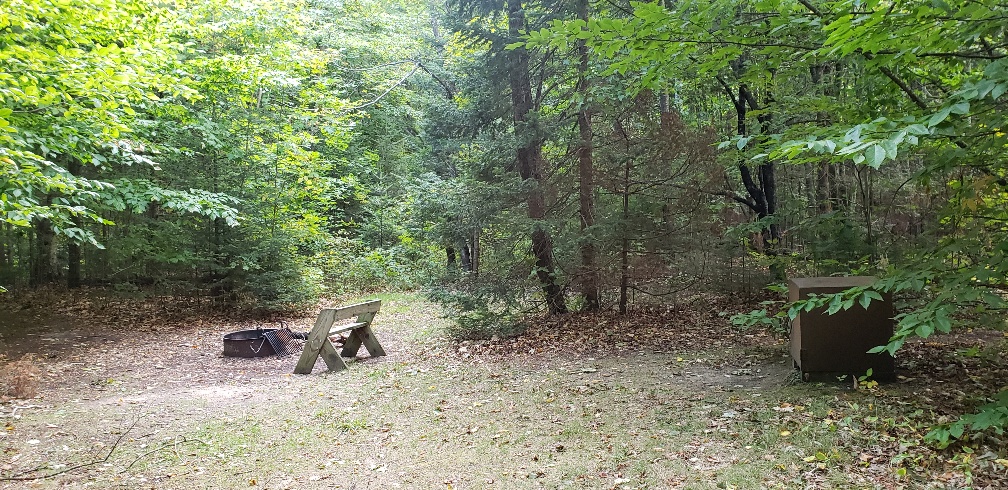 Site B, photo 2 of 4 · from wisconsin.goingtocamp.com (the park's booking system)