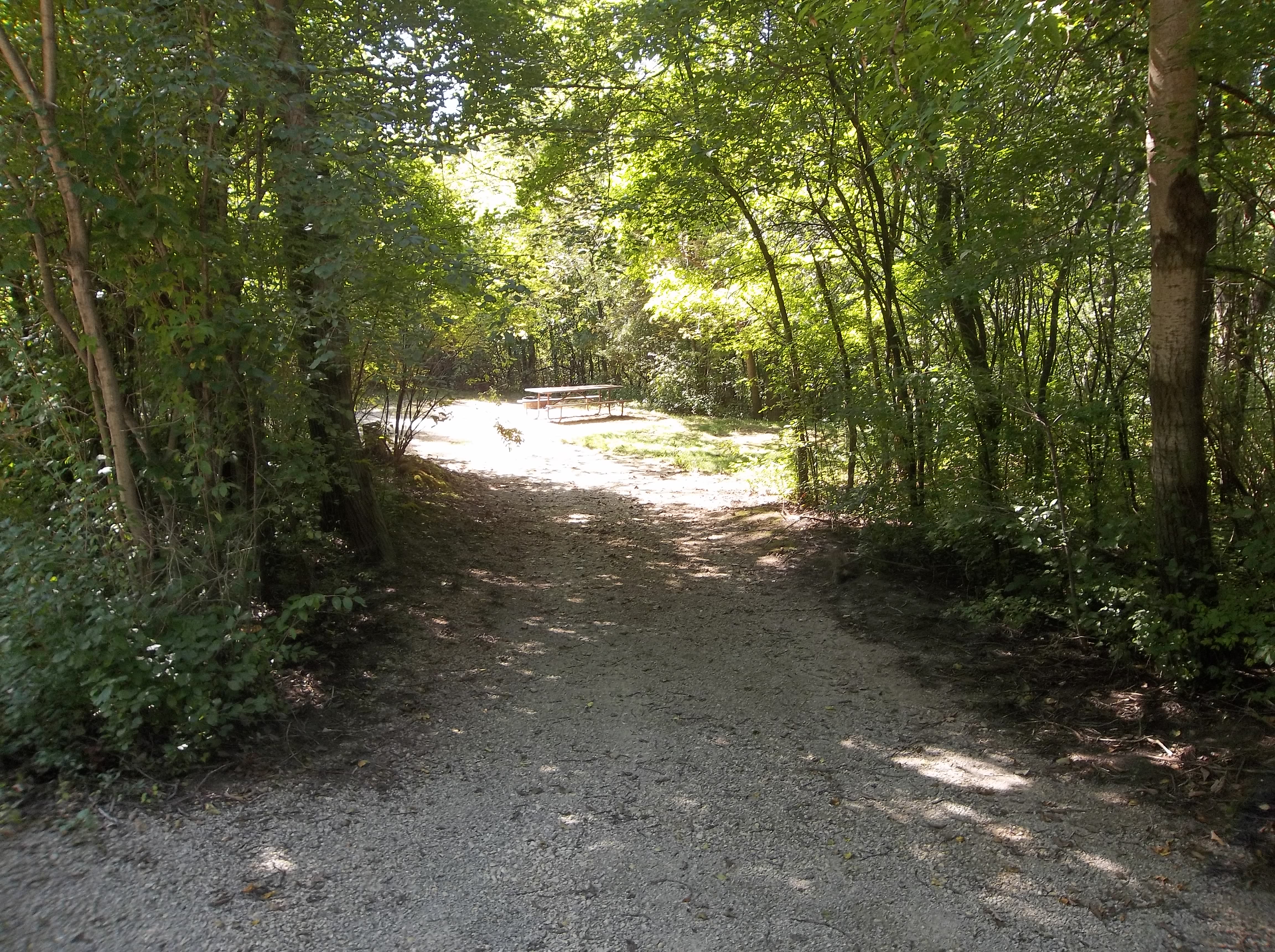 Site 624, photo 2 of 3 · from wisconsin.goingtocamp.com (the park's booking system)
