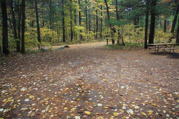 Site 479, photo 2 of 2 · from wisconsin.goingtocamp.com (the park's booking system)
