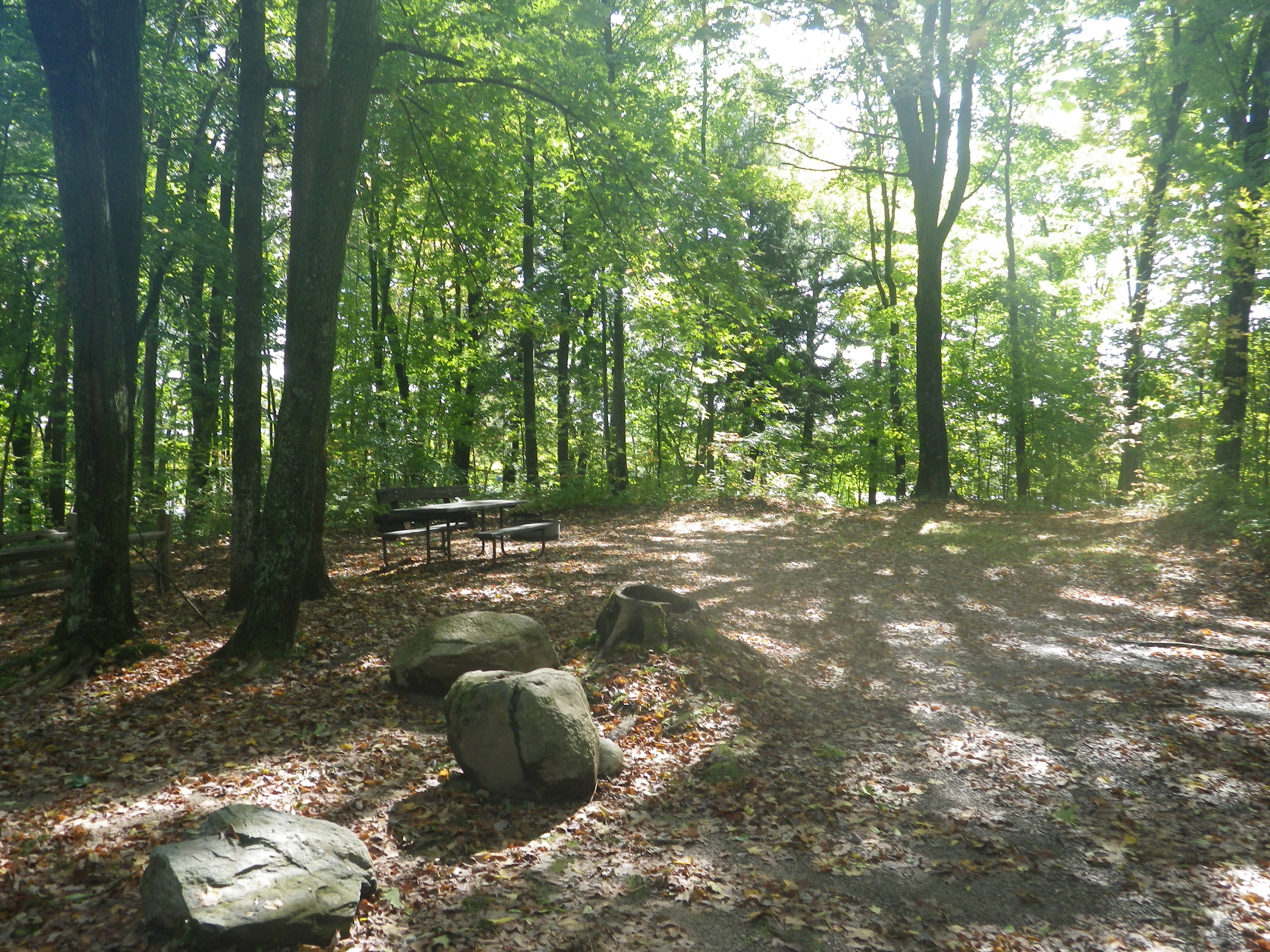 Site 105, photo 2 of 3 · from wisconsin.goingtocamp.com (the park's booking system)