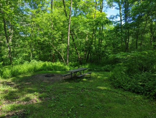 Site 31, photo 2 of 3 · from wisconsin.goingtocamp.com (the park's booking system)