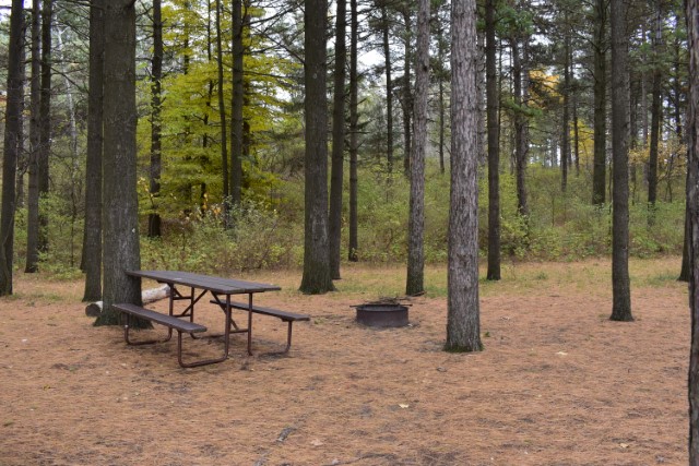 Site 43, photo 2 of 2 · from wisconsin.goingtocamp.com (the park's booking system)
