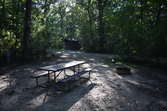Site 44, photo 3 of 4 · from wisconsin.goingtocamp.com (the park's booking system)