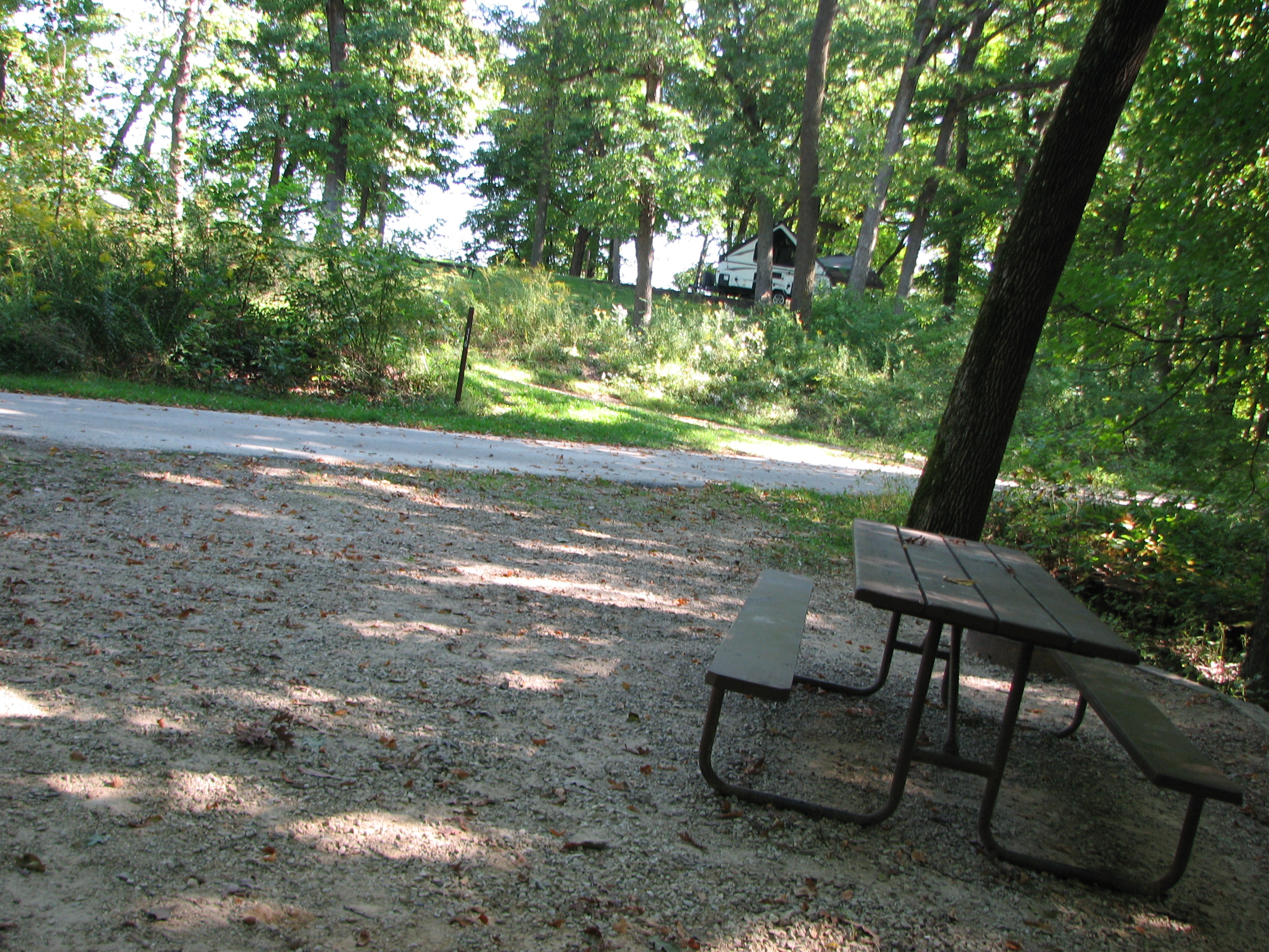 Site 115, photo 2 of 2 · from wisconsin.goingtocamp.com (the park's booking system)