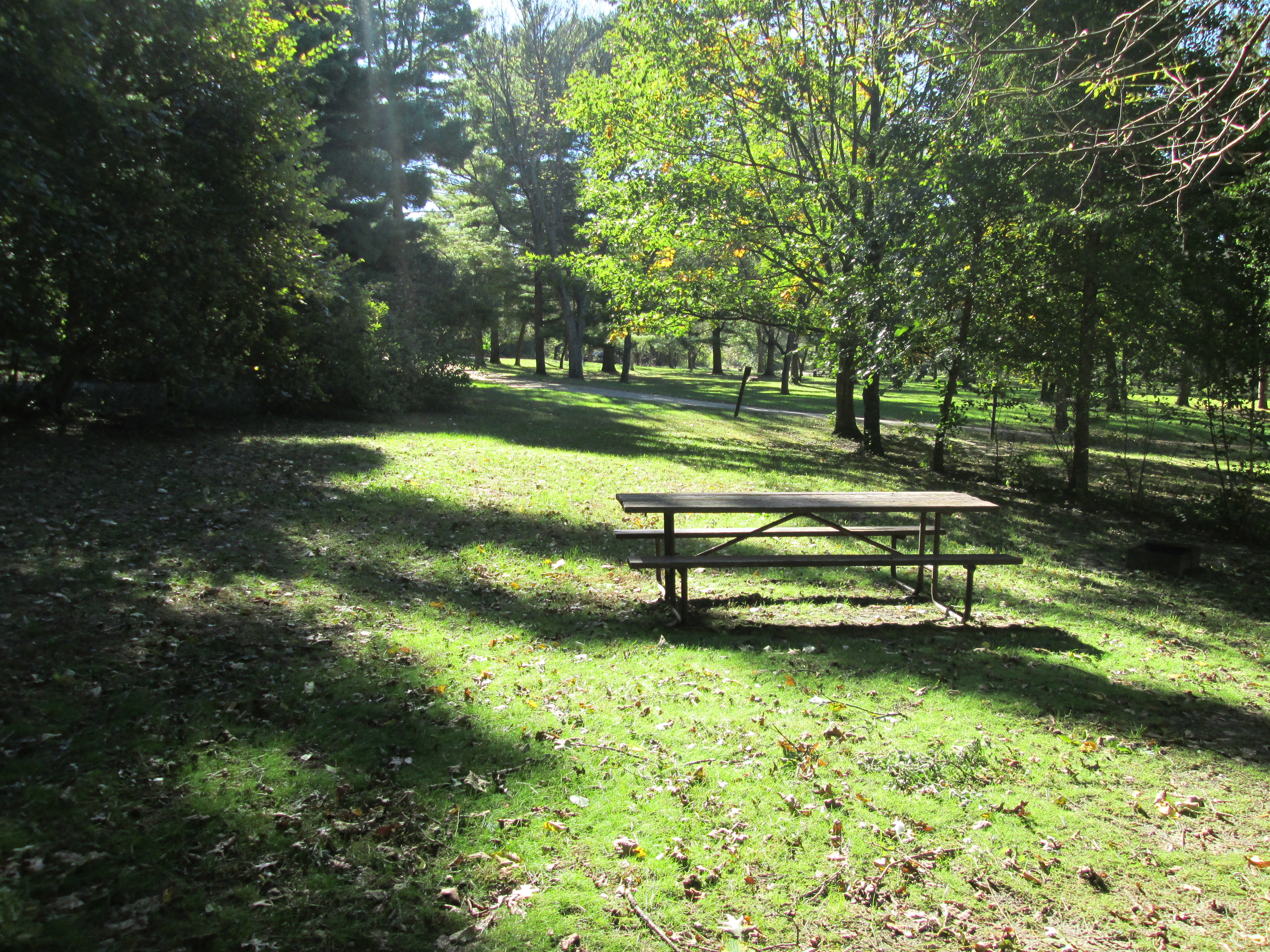 Site 8, photo 2 of 3 · from wisconsin.goingtocamp.com (the park's booking system)