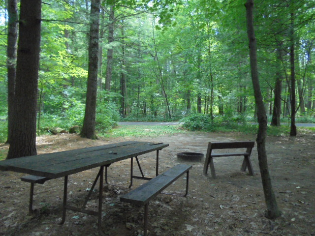 Site 24, photo 3 of 4 · from wisconsin.goingtocamp.com (the park's booking system)