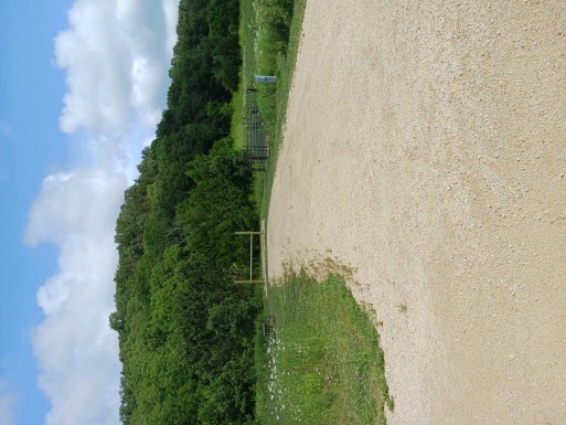 Site 755, photo 2 of 3 · from wisconsin.goingtocamp.com (the park's booking system)