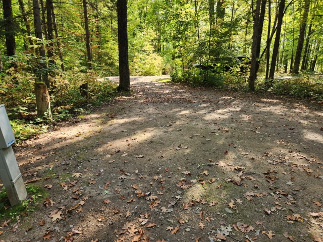 Site 44, photo 2 of 3 · from wisconsin.goingtocamp.com (the park's booking system)