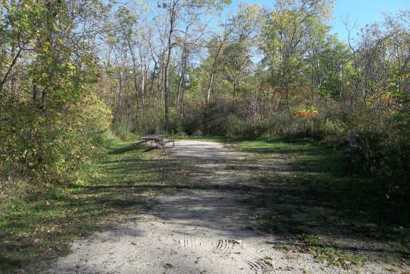 Site 635, photo 2 of 4 · from wisconsin.goingtocamp.com (the park's booking system)