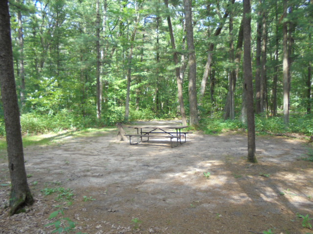 Site 39, photo 3 of 4 · from wisconsin.goingtocamp.com (the park's booking system)