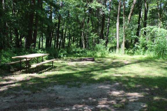 Site 5, photo 2 of 3 · from wisconsin.goingtocamp.com (the park's booking system)