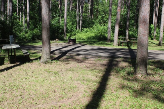 Site 47, photo 2 of 3 · from wisconsin.goingtocamp.com (the park's booking system)