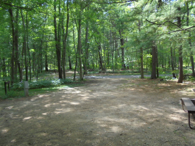 Site 18, photo 3 of 4 · from wisconsin.goingtocamp.com (the park's booking system)