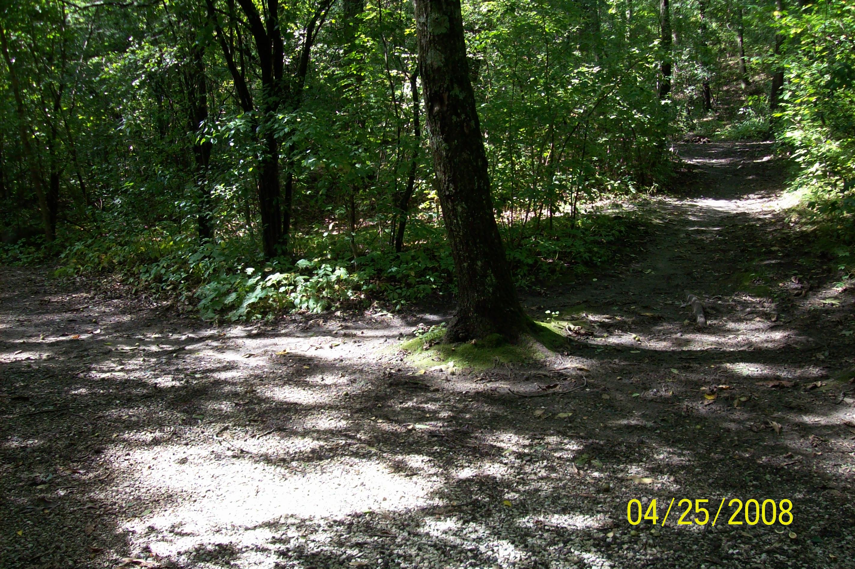 Site 156, photo 2 of 4 · from wisconsin.goingtocamp.com (the park's booking system)