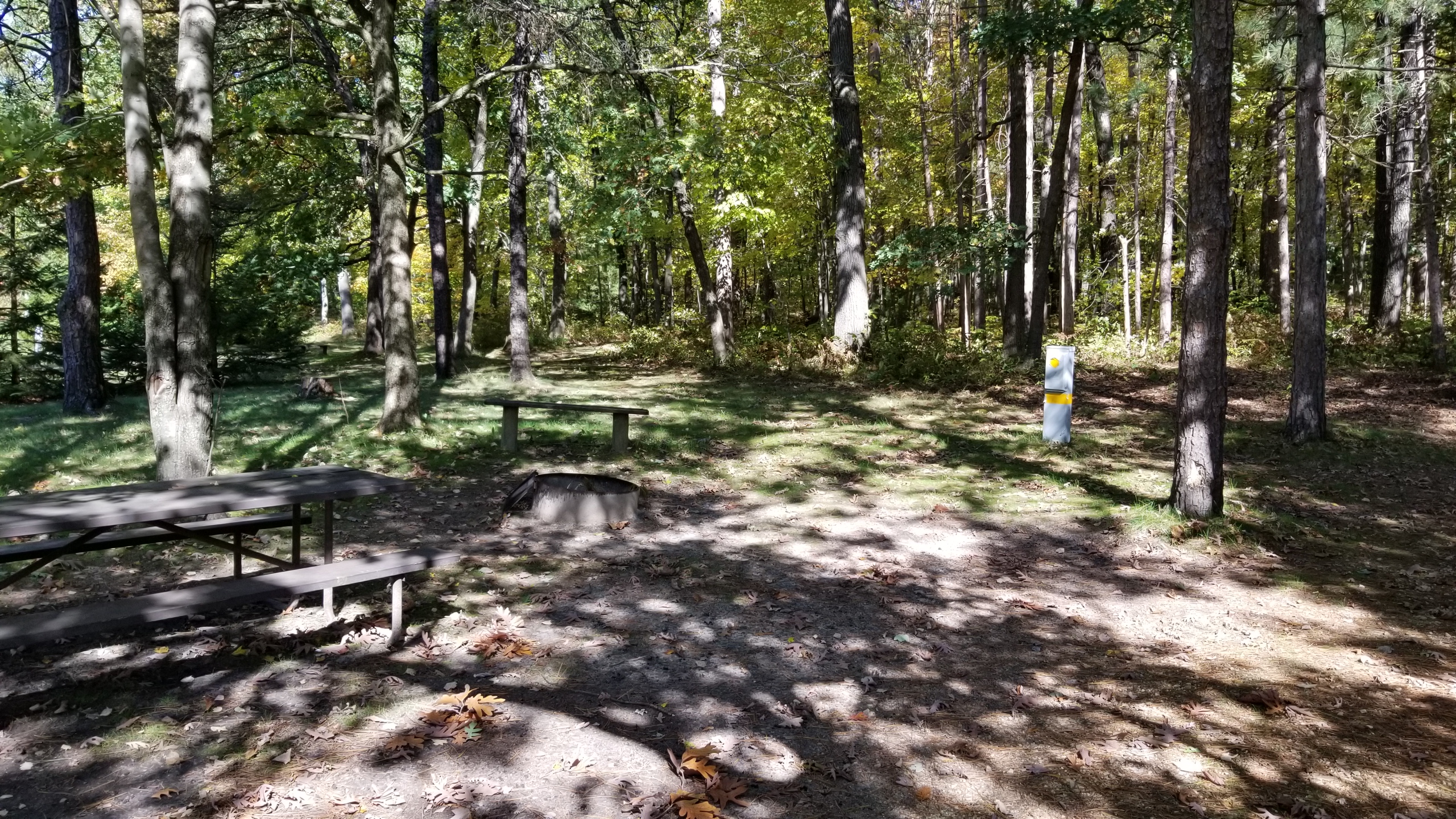 Site 20, photo 3 of 4 · from wisconsin.goingtocamp.com (the park's booking system)