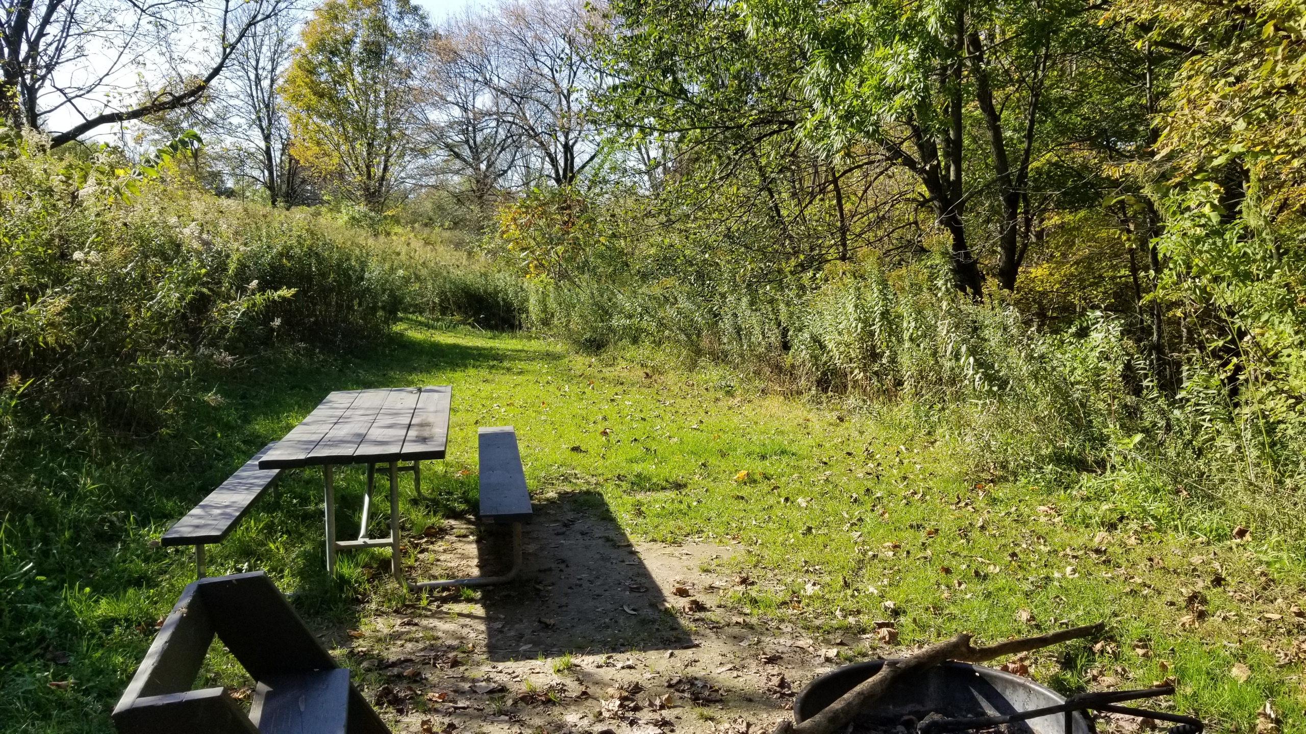 Site 119, photo 3 of 3 · from wisconsin.goingtocamp.com (the park's booking system)