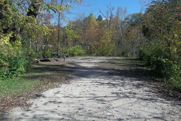 Site 223, photo 2 of 4 · from wisconsin.goingtocamp.com (the park's booking system)