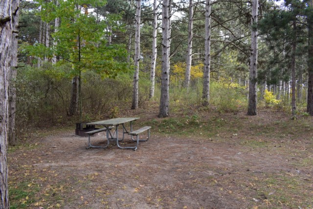 Site 202, photo 3 of 3 · from wisconsin.goingtocamp.com (the park's booking system)