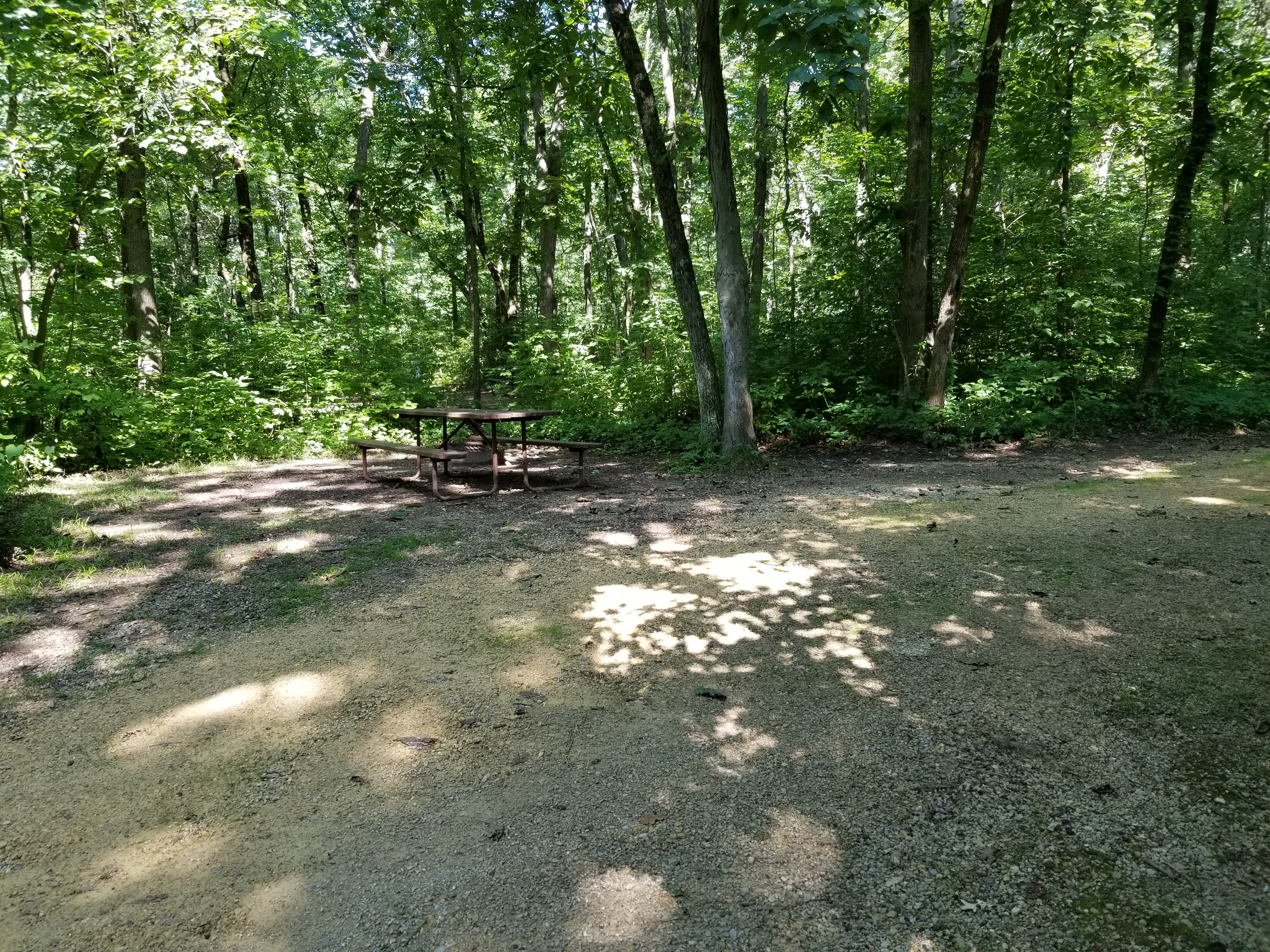 Site 76, photo 2 of 3 · from wisconsin.goingtocamp.com (the park's booking system)