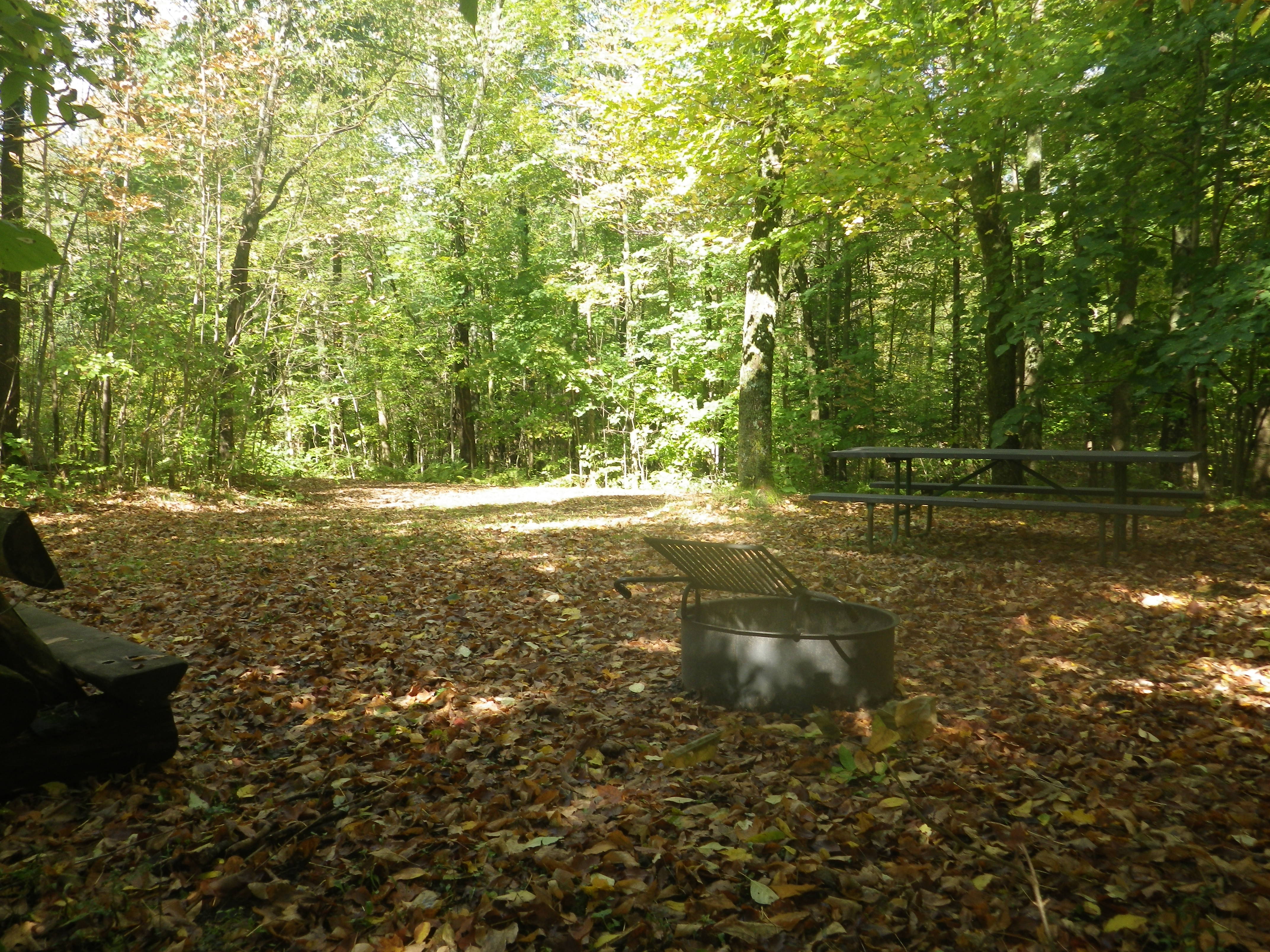 Site 104, photo 3 of 3 · from wisconsin.goingtocamp.com (the park's booking system)
