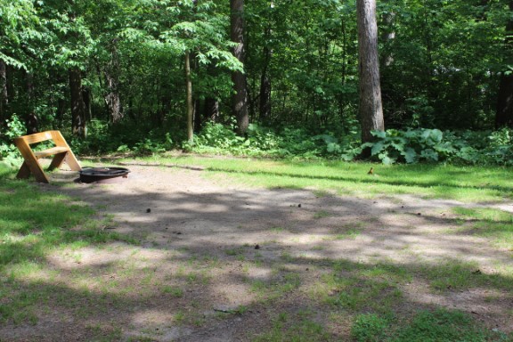 Site 20, photo 2 of 3 · from wisconsin.goingtocamp.com (the park's booking system)