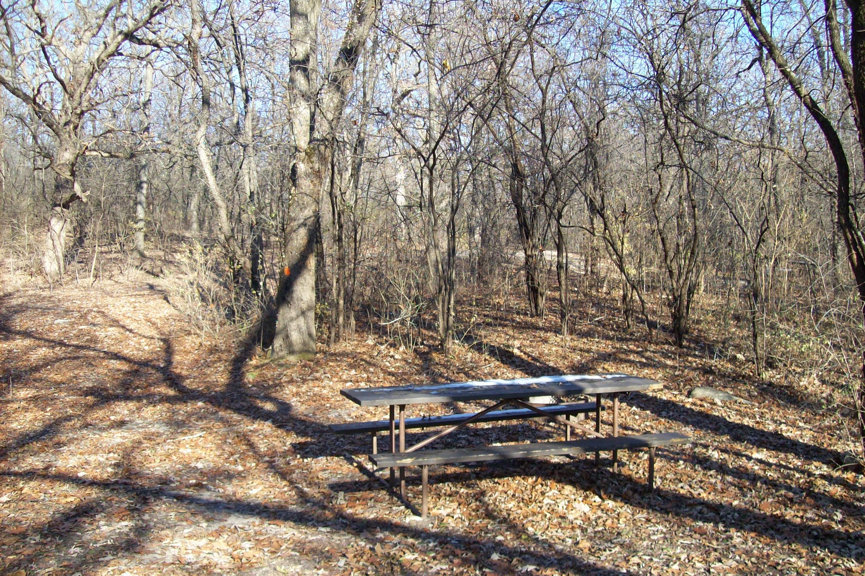 Site 775, photo 3 of 3 · from wisconsin.goingtocamp.com (the park's booking system)