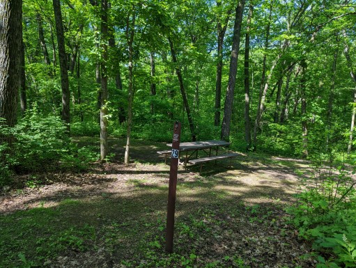 Site 29, photo 2 of 3 · from wisconsin.goingtocamp.com (the park's booking system)