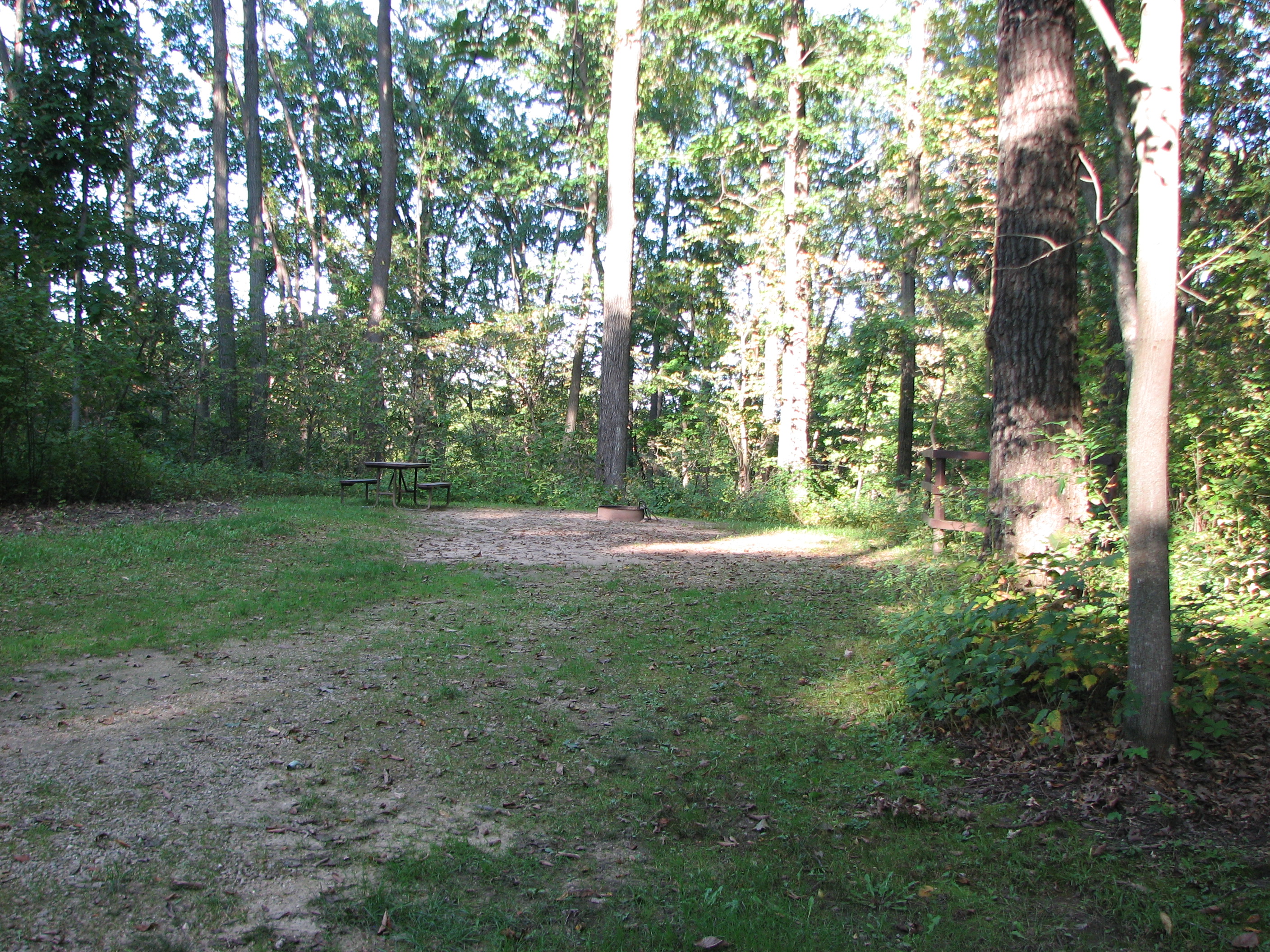 Site 25, photo 2 of 3 · from wisconsin.goingtocamp.com (the park's booking system)