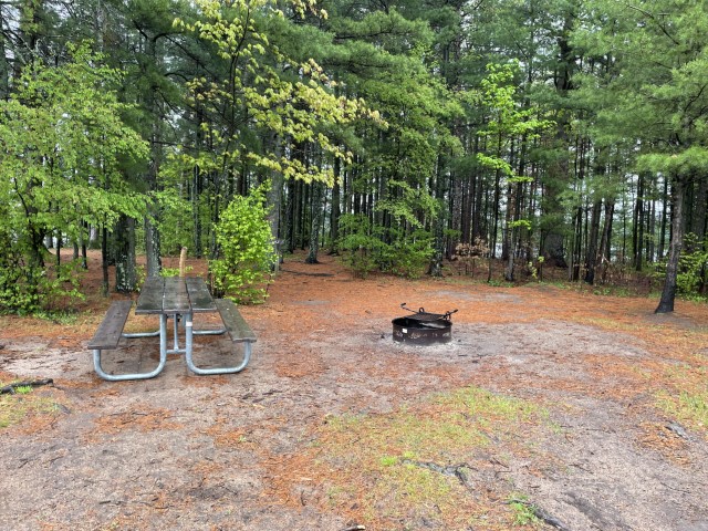 Site 6, photo 2 of 3 · from wisconsin.goingtocamp.com (the park's booking system)
