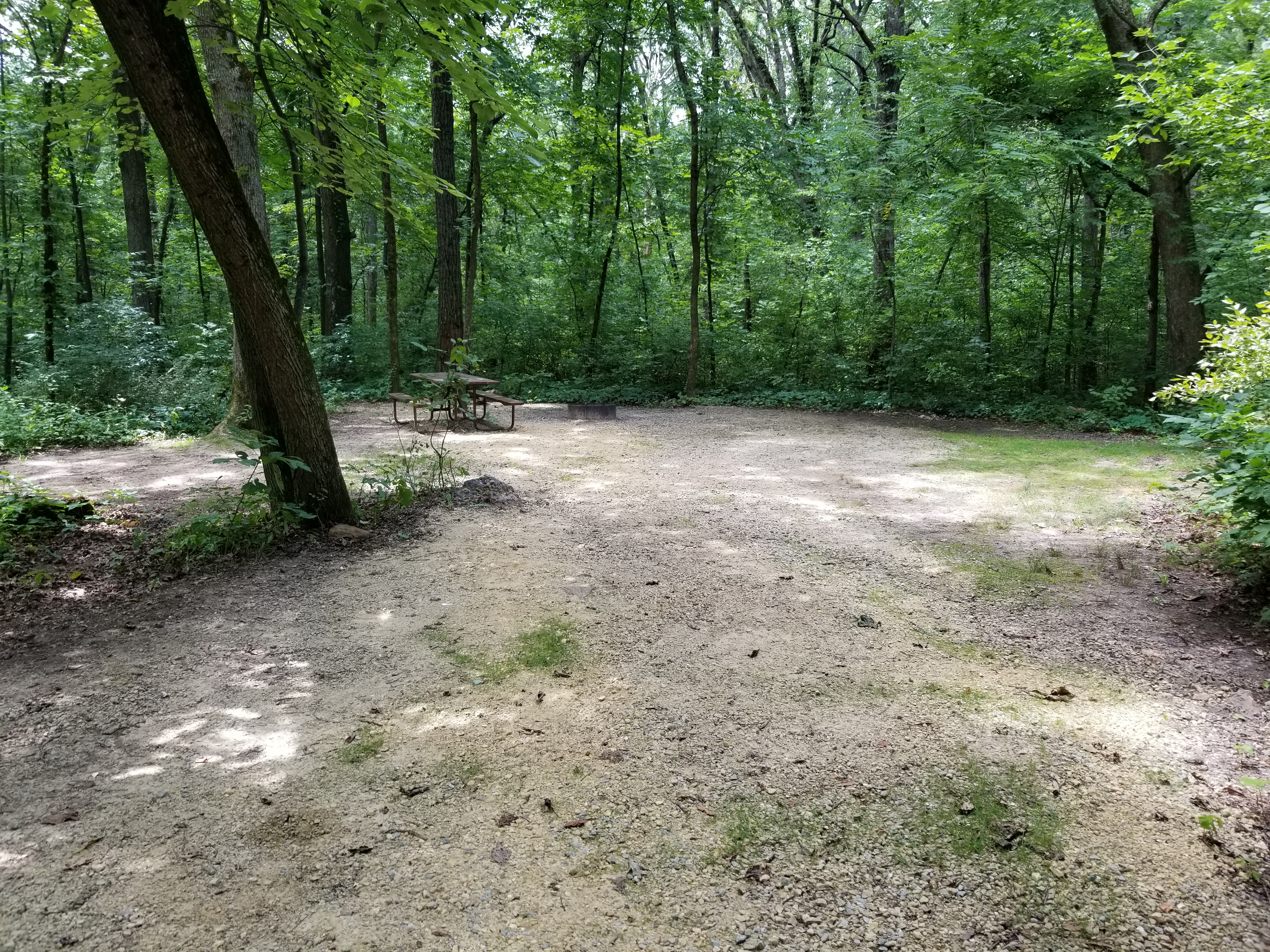 Site 73, photo 2 of 3 · from wisconsin.goingtocamp.com (the park's booking system)