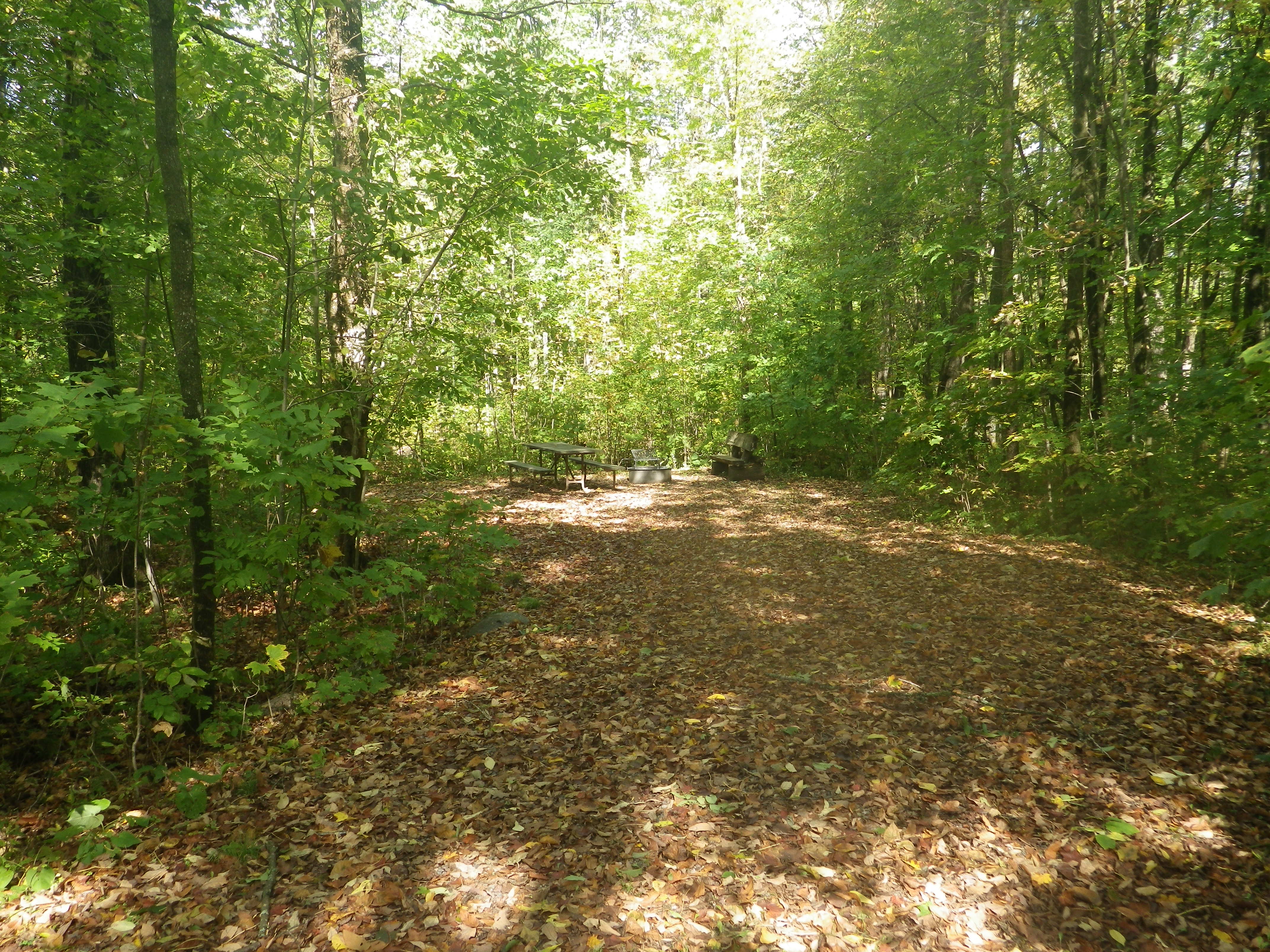 Site 126, photo 2 of 3 · from wisconsin.goingtocamp.com (the park's booking system)