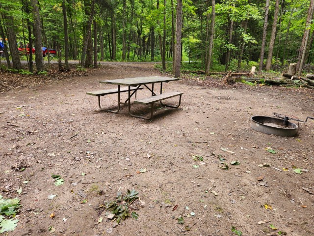 Site 49, photo 2 of 3 · from wisconsin.goingtocamp.com (the park's booking system)