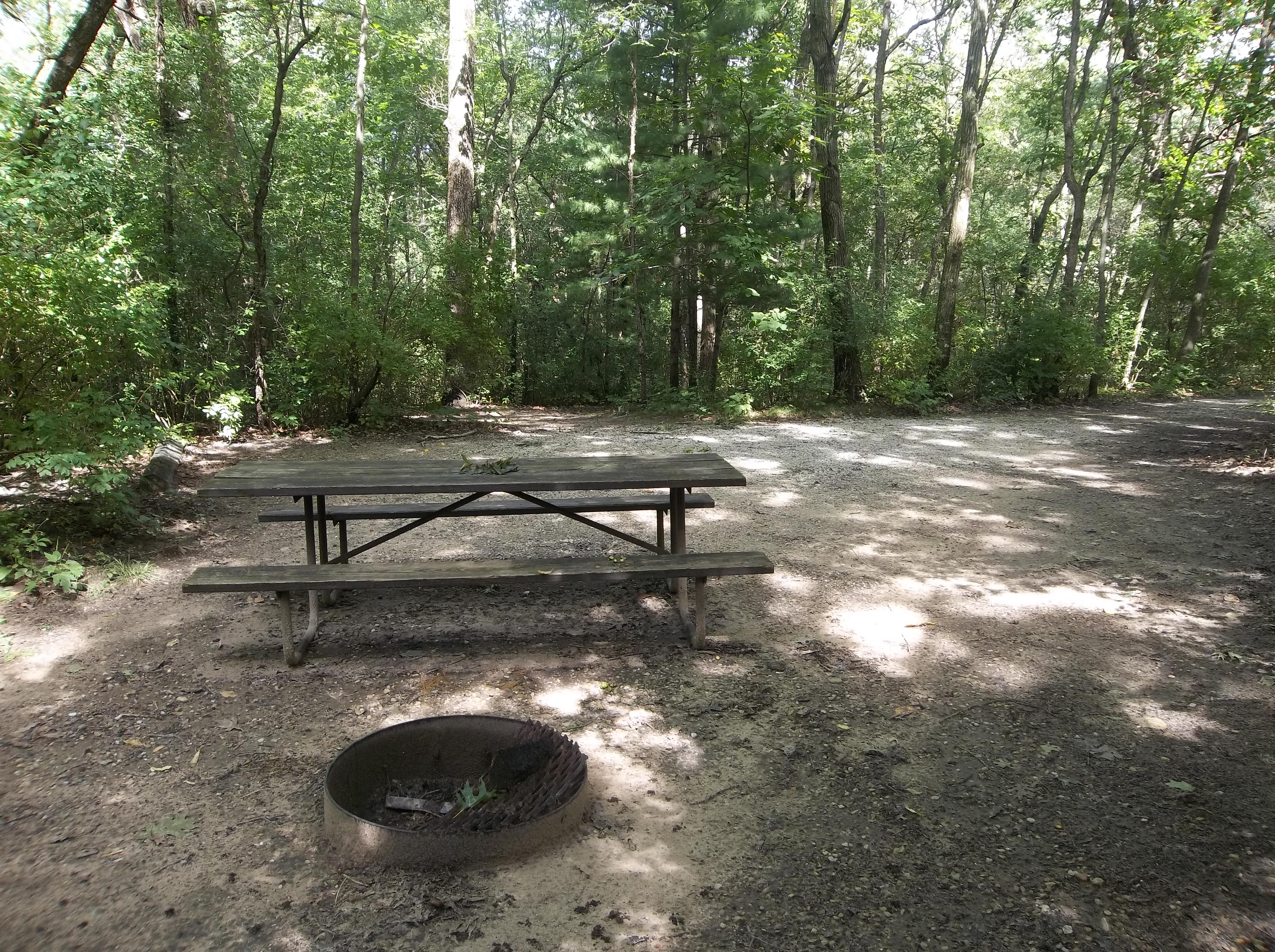 Site 166, photo 3 of 3 · from wisconsin.goingtocamp.com (the park's booking system)