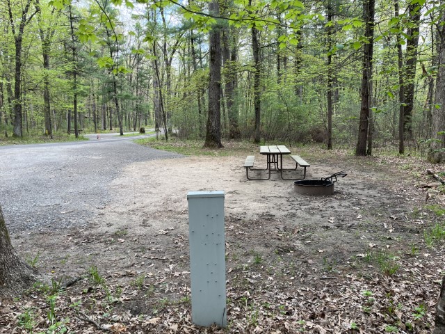 Site 2, photo 3 of 3 · from wisconsin.goingtocamp.com (the park's booking system)
