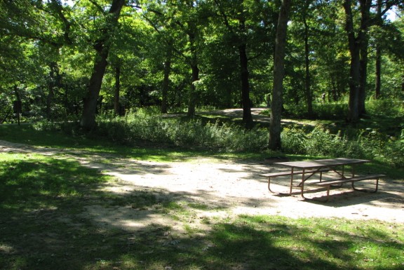Site 135, photo 3 of 3 · from wisconsin.goingtocamp.com (the park's booking system)