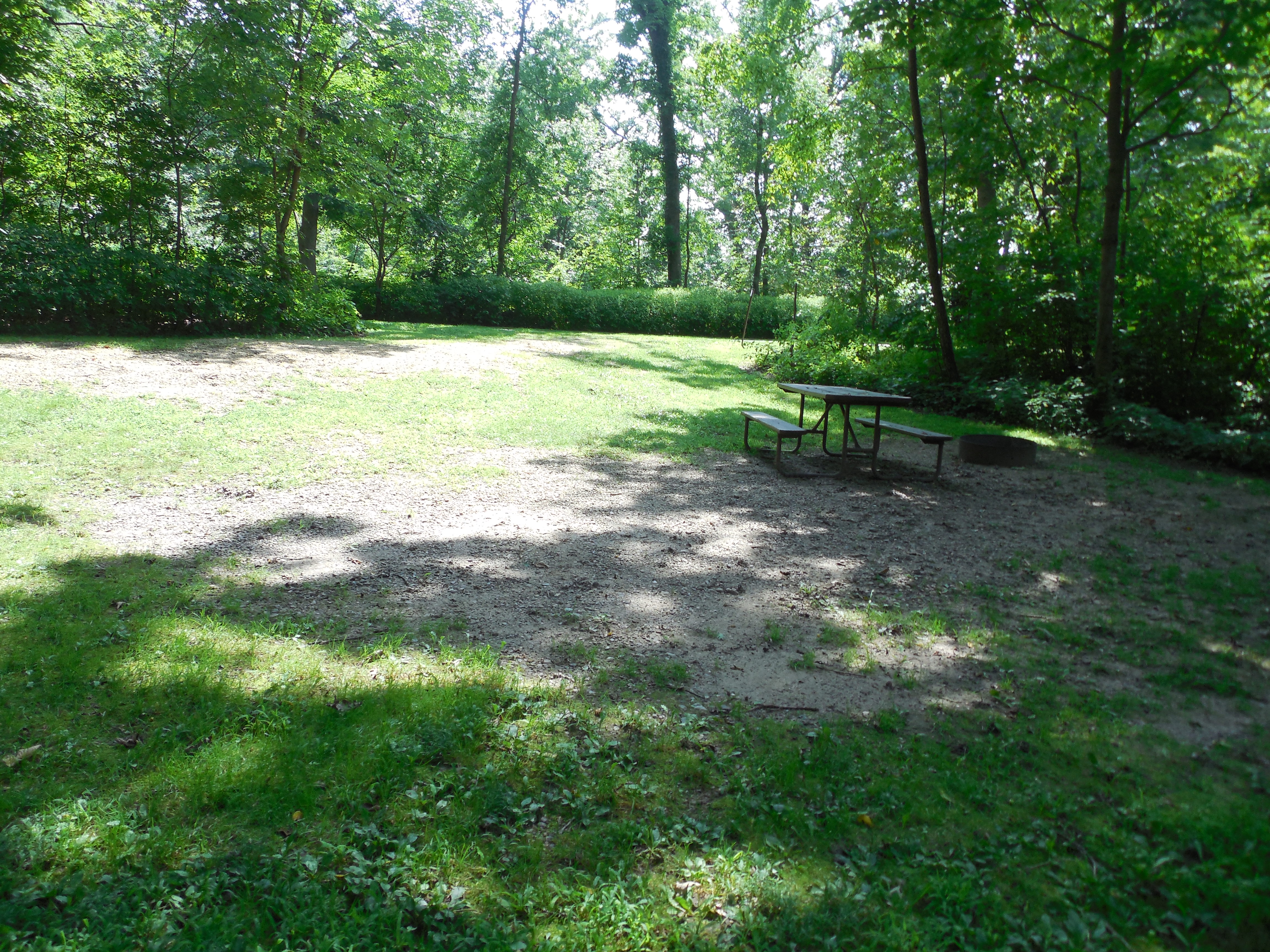 Site 14, photo 3 of 3 · from wisconsin.goingtocamp.com (the park's booking system)