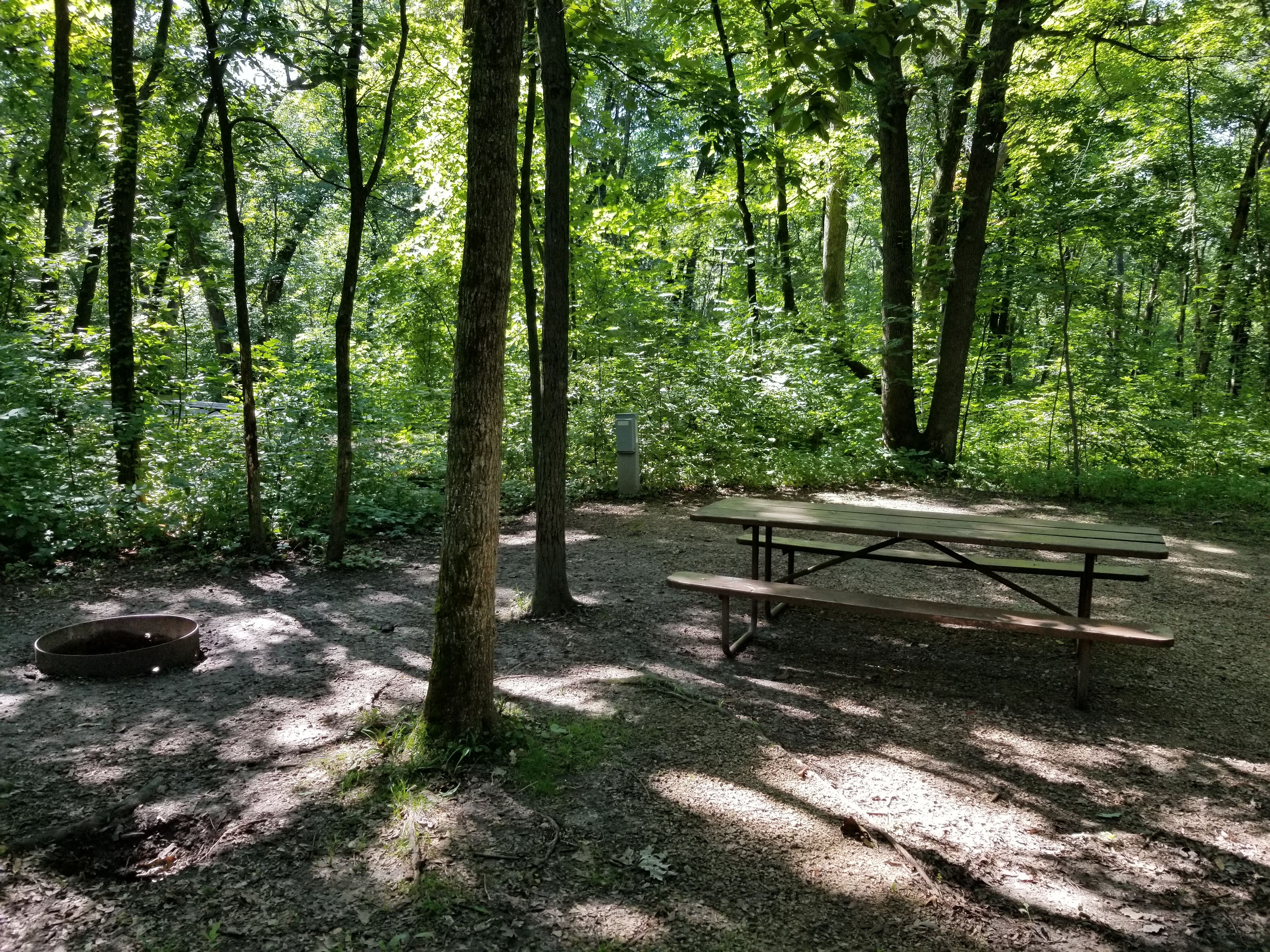Site 74, photo 3 of 3 · from wisconsin.goingtocamp.com (the park's booking system)