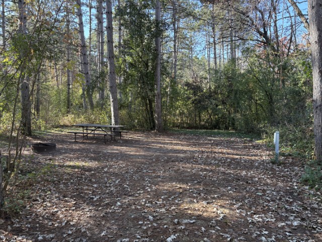 Site 342, photo 2 of 2 · from wisconsin.goingtocamp.com (the park's booking system)