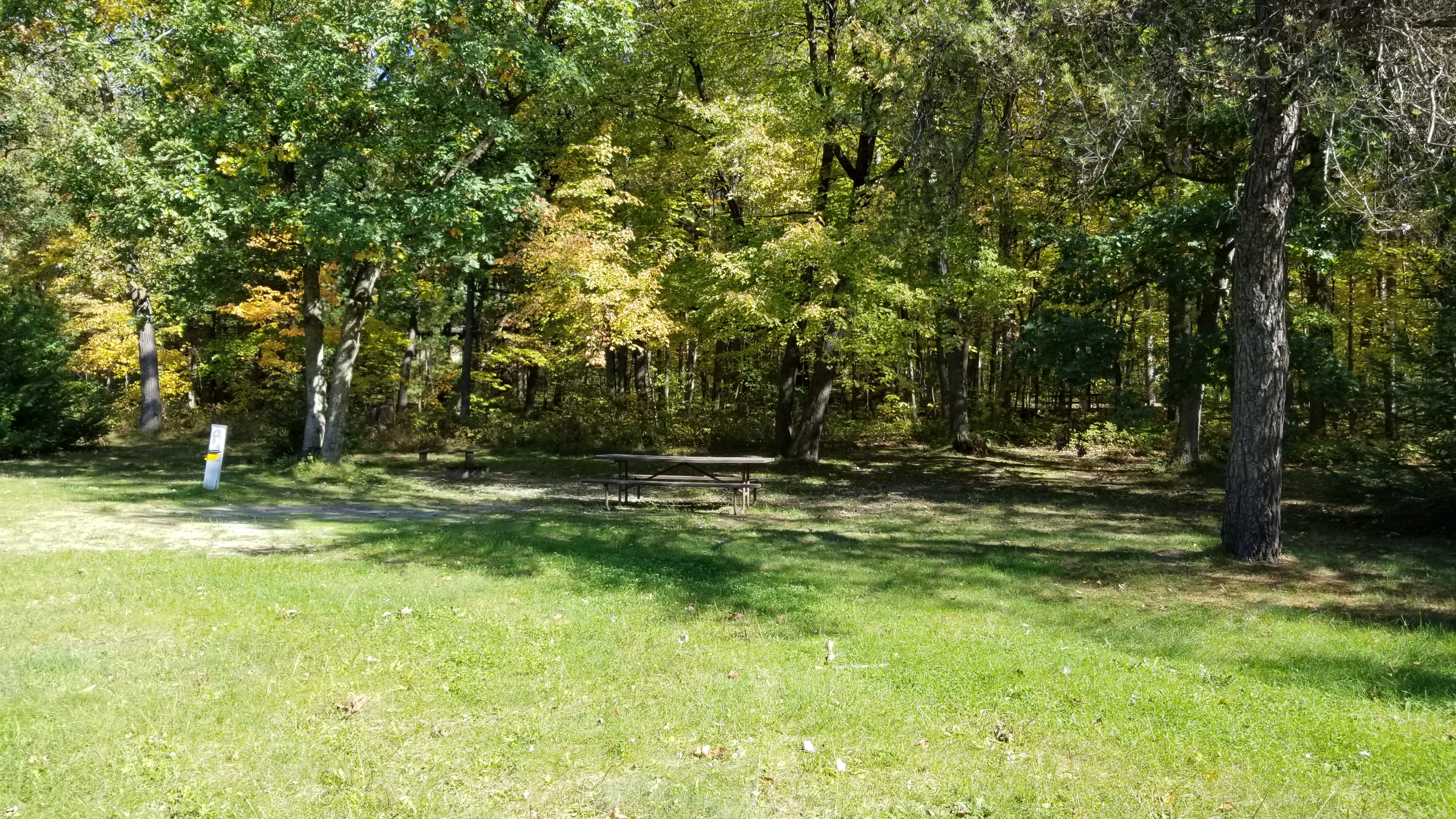 Site 19, photo 2 of 4 · from wisconsin.goingtocamp.com (the park's booking system)