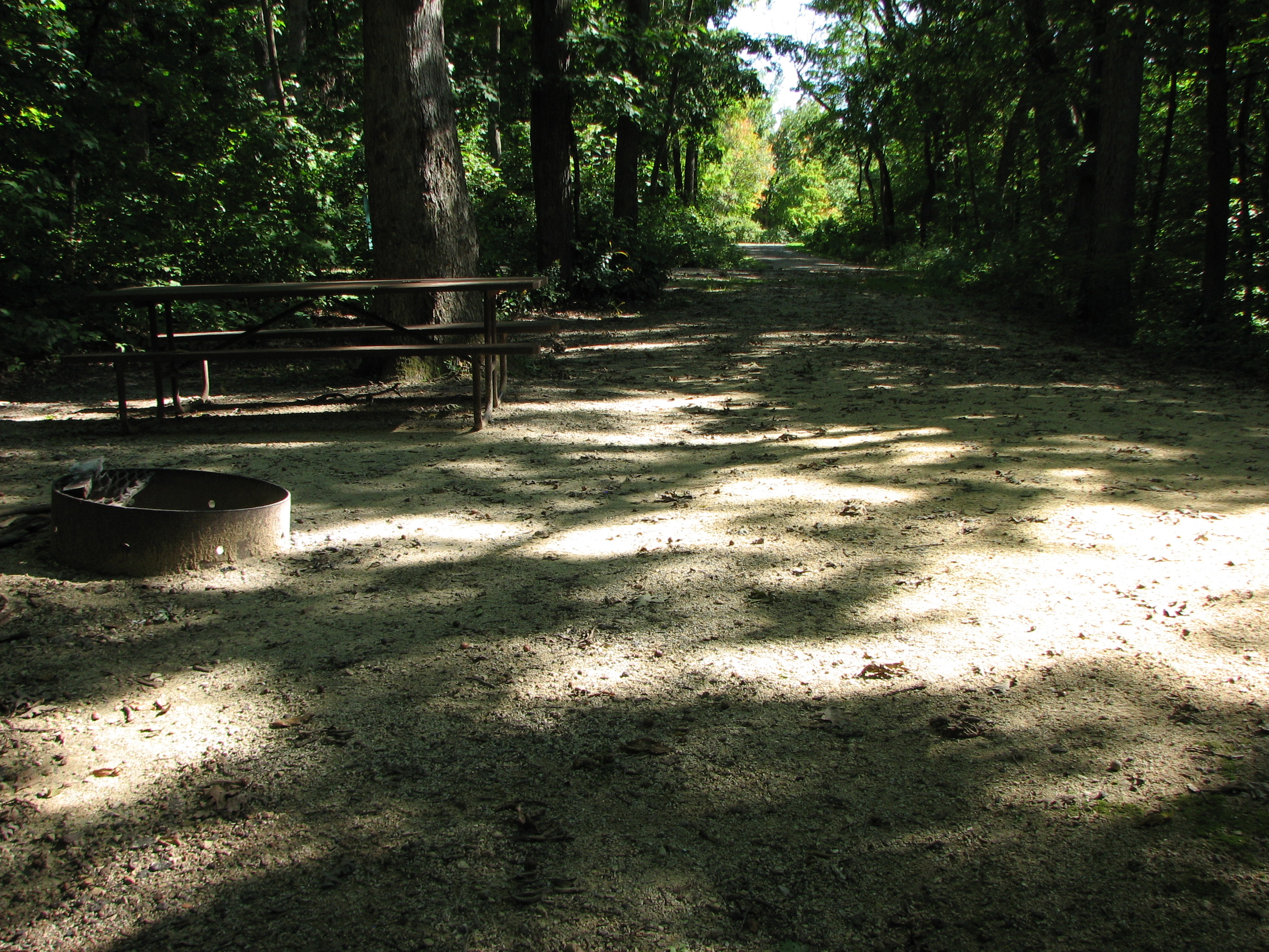 Site 236, photo 2 of 2 · from wisconsin.goingtocamp.com (the park's booking system)