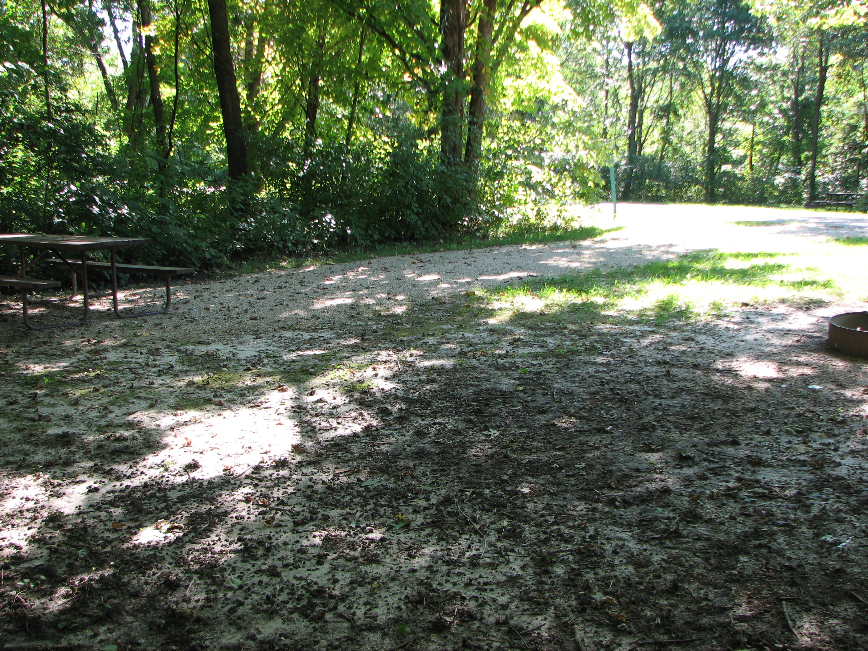 Site 233, photo 2 of 2 · from wisconsin.goingtocamp.com (the park's booking system)