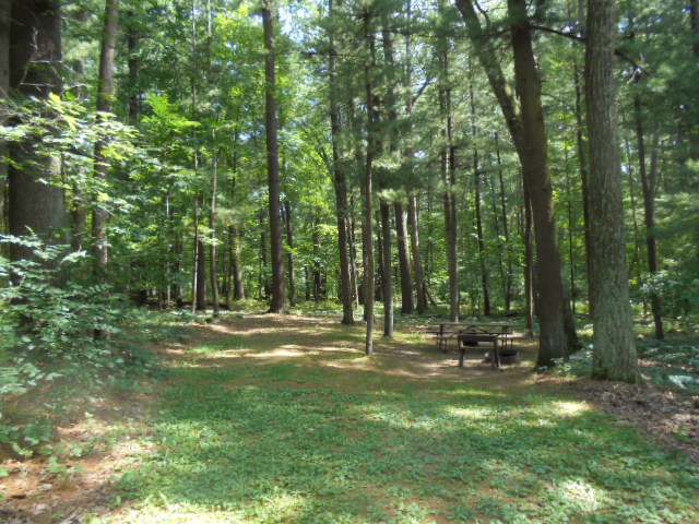 Site 1, photo 3 of 3 · from wisconsin.goingtocamp.com (the park's booking system)
