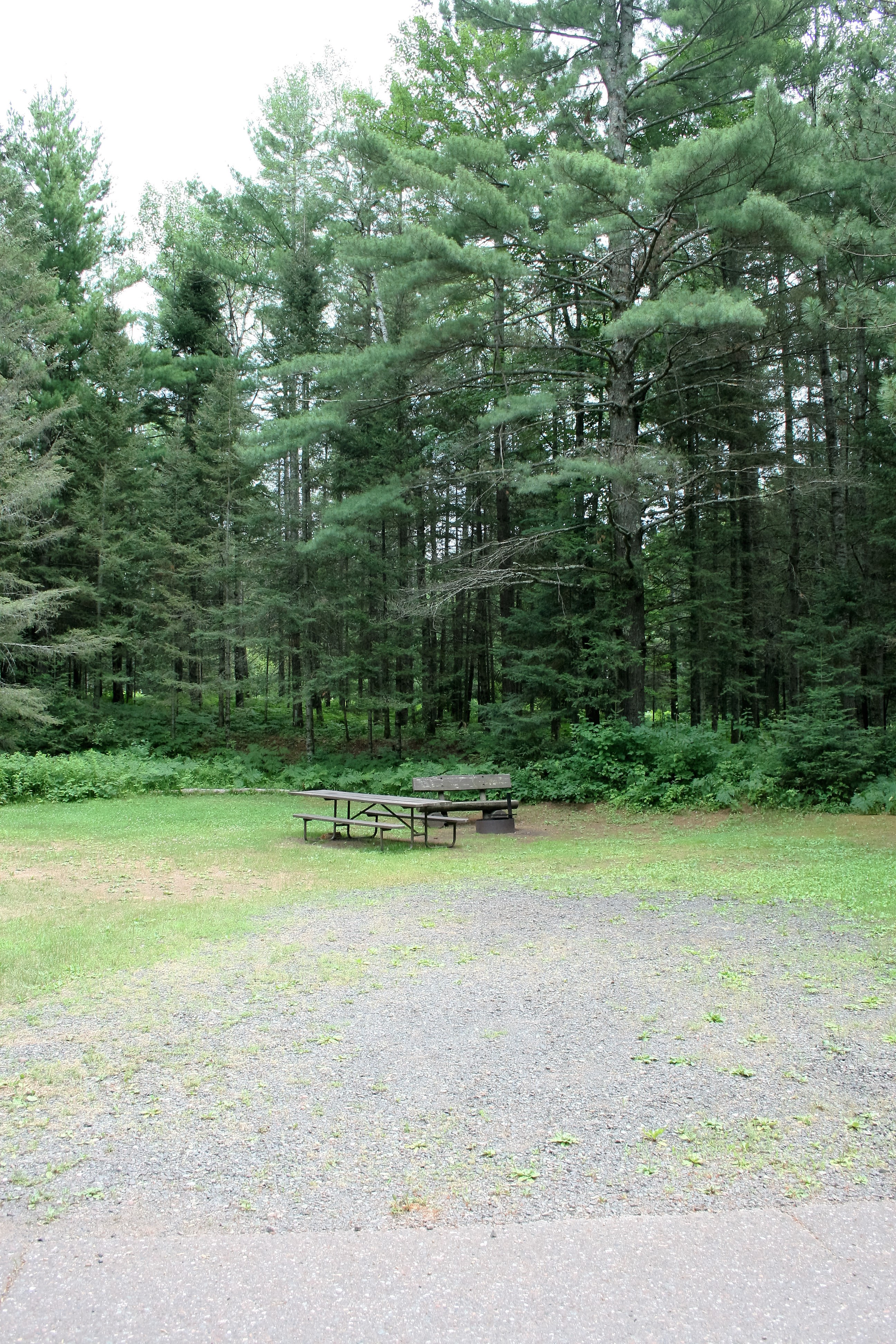 Site 44, photo 2 of 3 · from wisconsin.goingtocamp.com (the park's booking system)