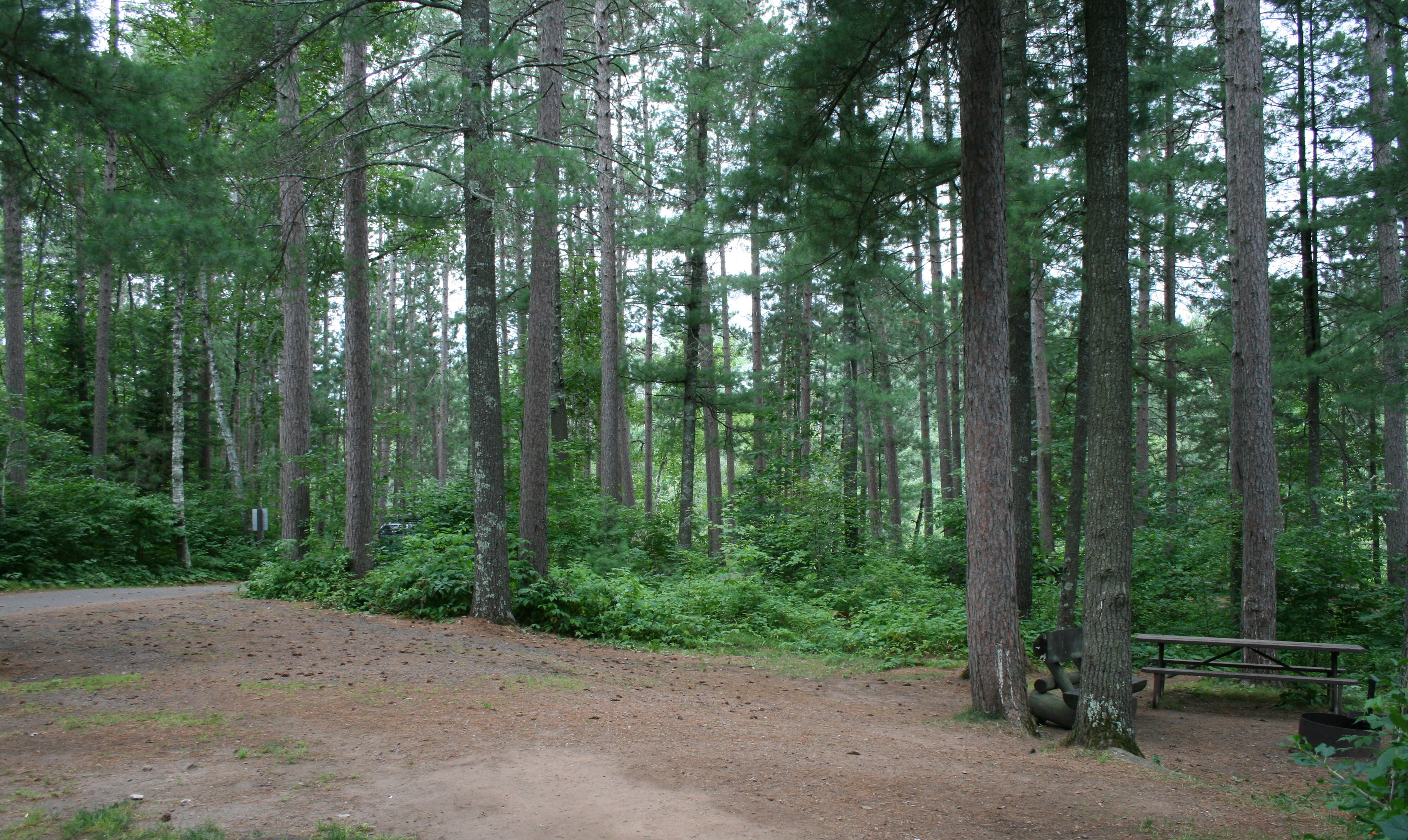 Site 12, photo 3 of 3 · from wisconsin.goingtocamp.com (the park's booking system)