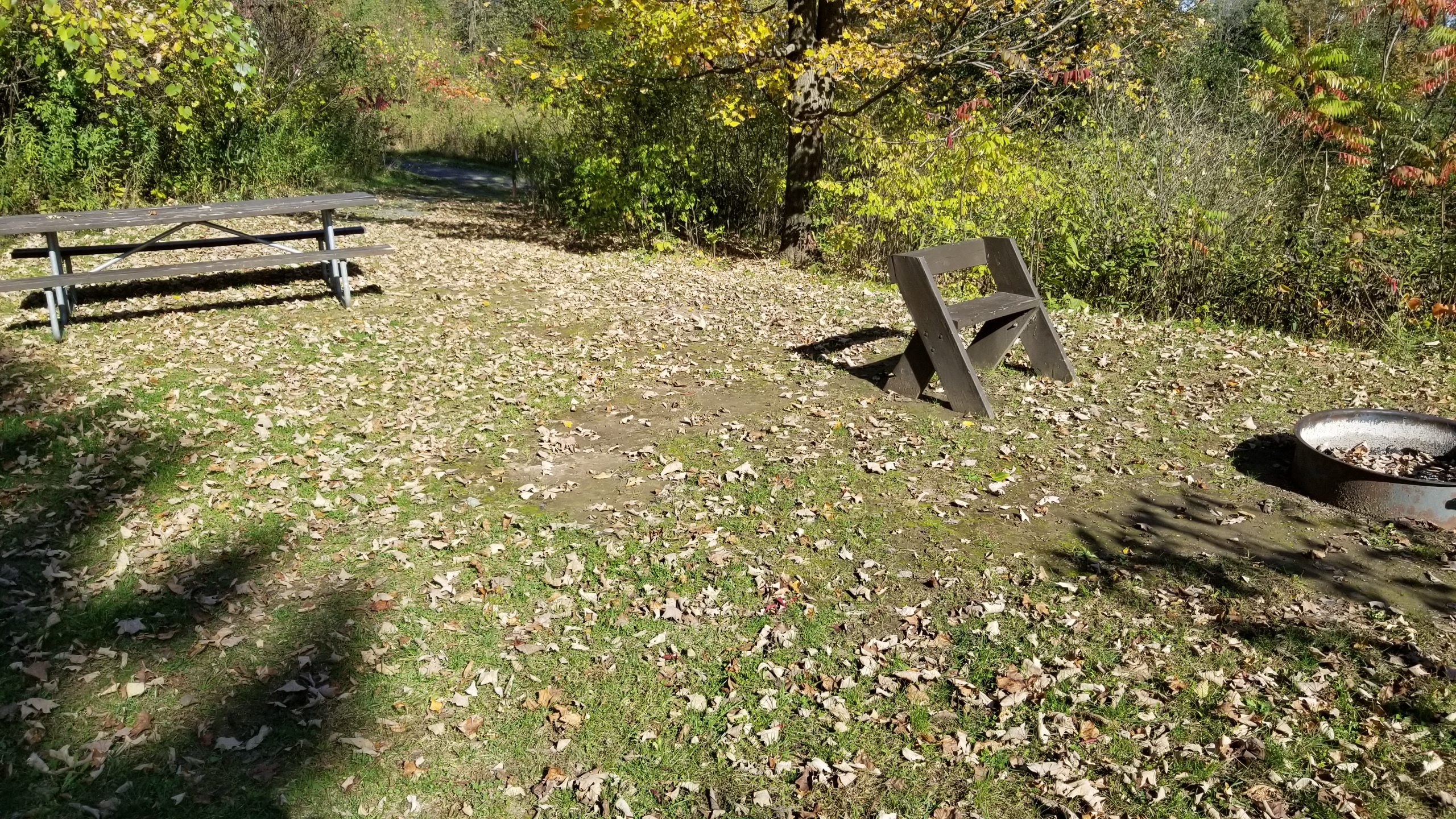 Site 114, photo 3 of 3 · from wisconsin.goingtocamp.com (the park's booking system)