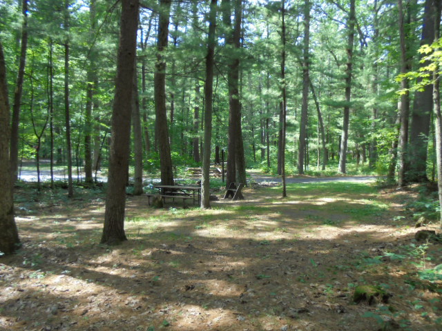 Site 1, photo 2 of 3 · from wisconsin.goingtocamp.com (the park's booking system)