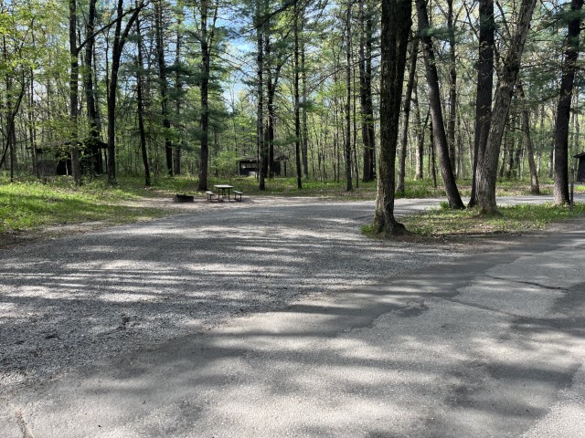 Site 13, photo 2 of 3 · from wisconsin.goingtocamp.com (the park's booking system)