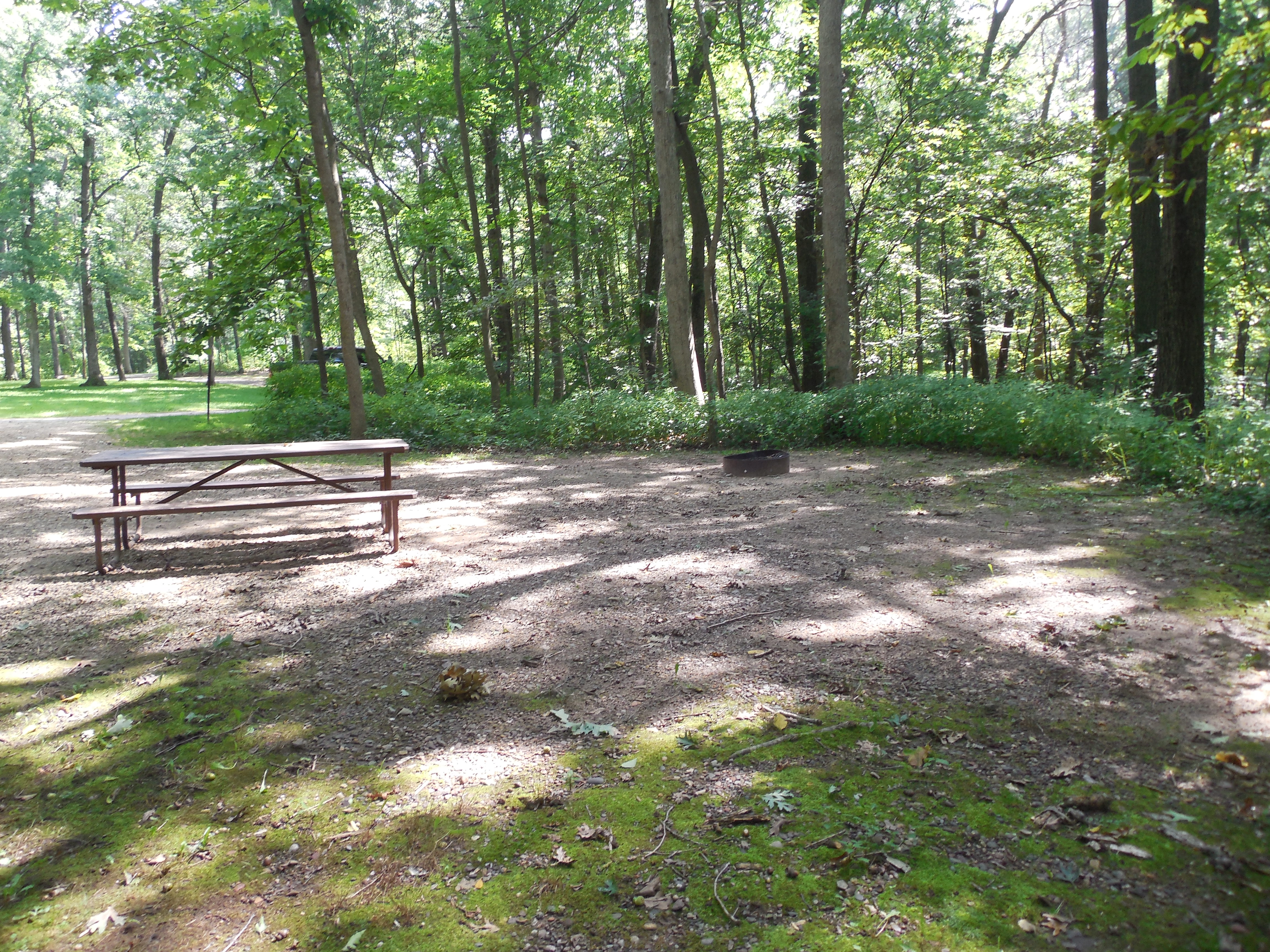 Site 29, photo 3 of 3 · from wisconsin.goingtocamp.com (the park's booking system)