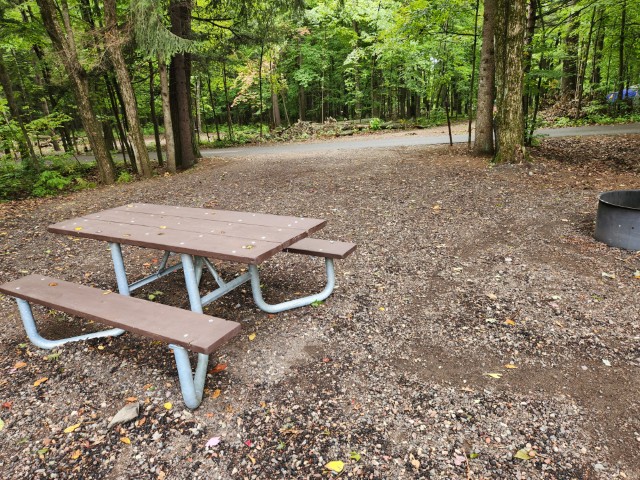 Site 46, photo 2 of 3 · from wisconsin.goingtocamp.com (the park's booking system)