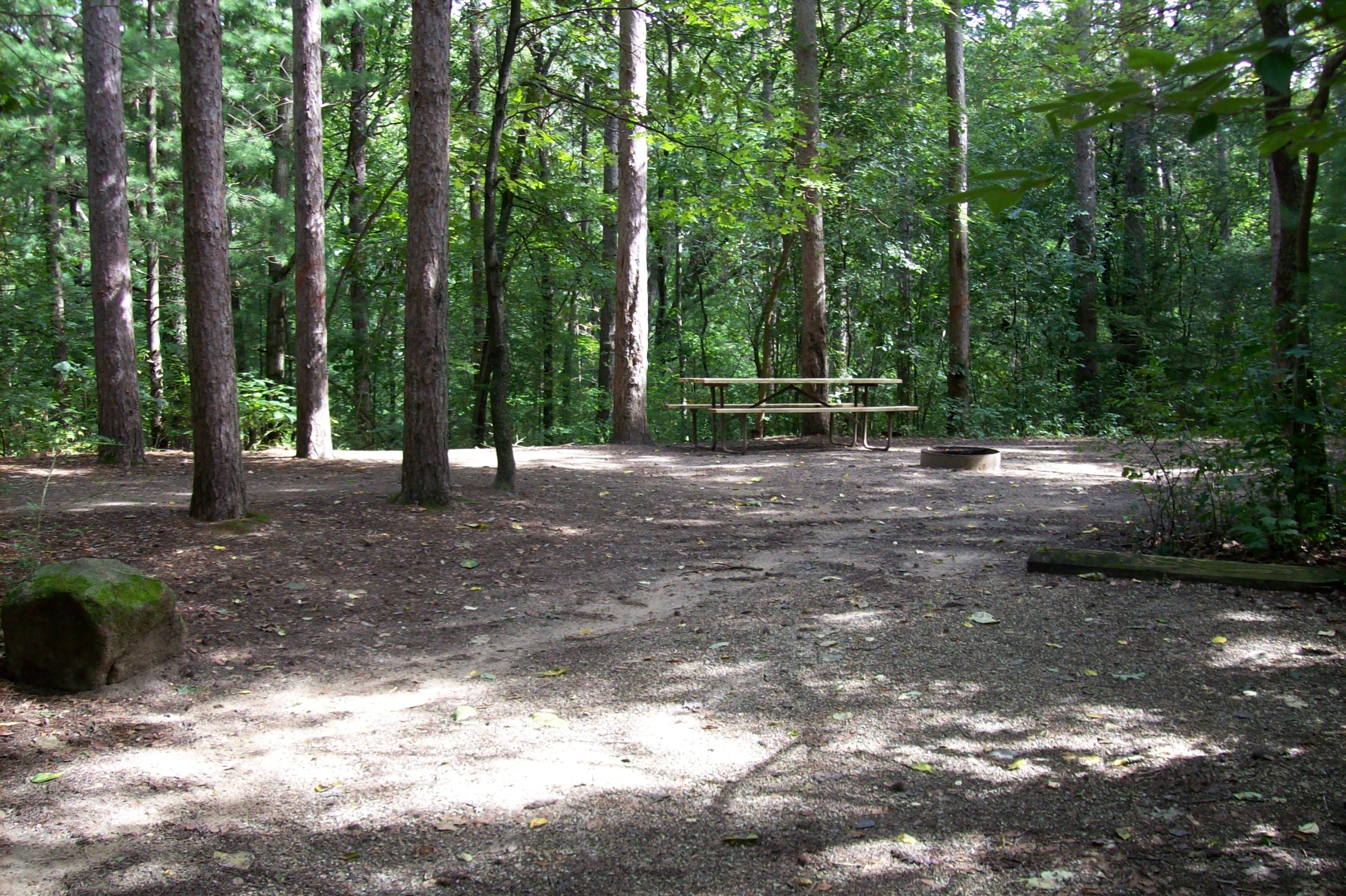Site 286, photo 3 of 3 · from wisconsin.goingtocamp.com (the park's booking system)